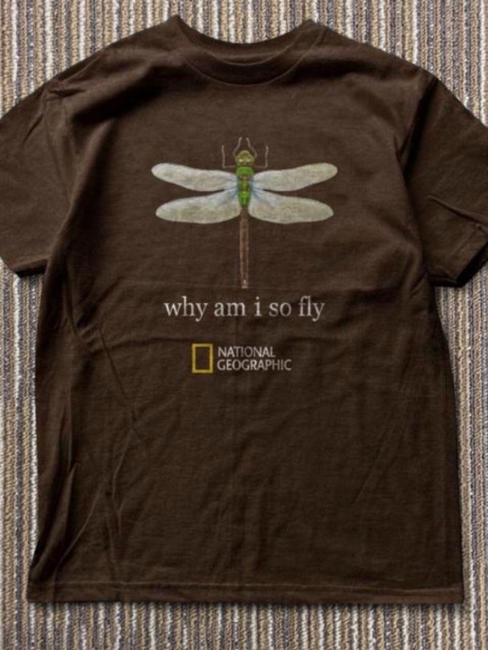 Gildan Brown Dragonfly Graphic Tee with Green and White Detail